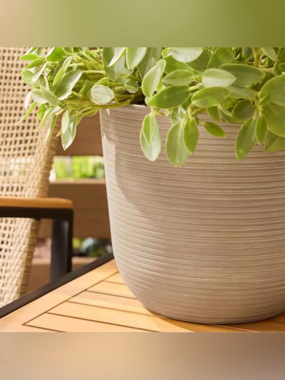 Vigoro Thatcher Medium Beige Round Planter 11.3” Plastic Pot w/ Drainage Hole